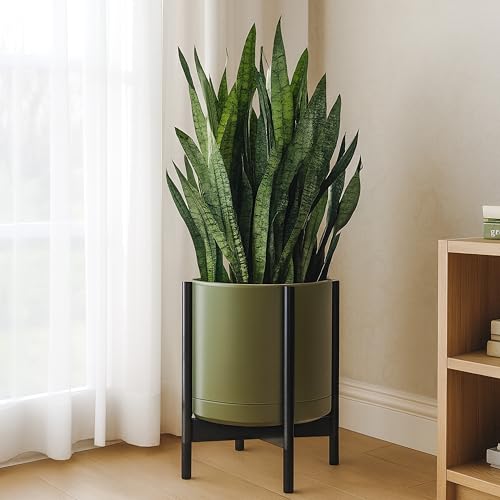 Ceramic Pot with Ebony Wood Stand (14 Inch / Olive Pot + Ebony Stand)
