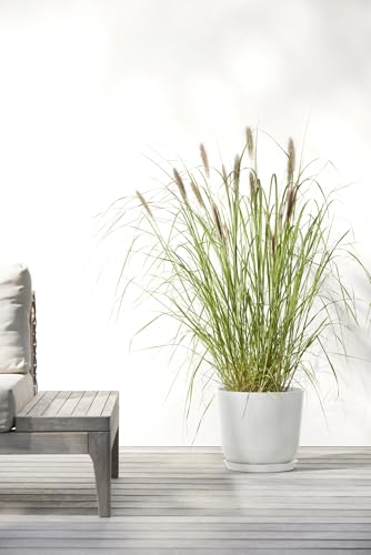 Oslo Round Flower Planter (Pure White / 10")