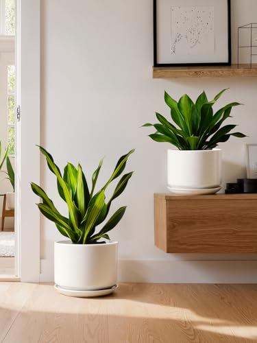 Ceramic Plant Pots (2 Count)