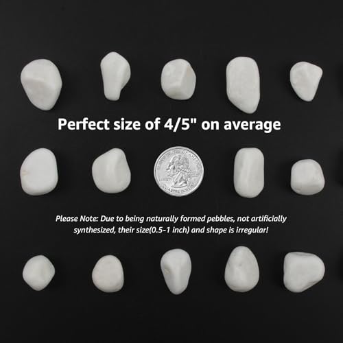 20 lbs White Polished Garden Stones