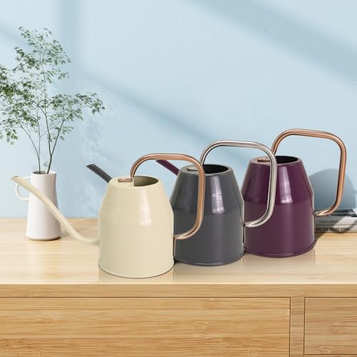 Metal Watering Can with Removable Spout (Black / 0.5 Gallon)