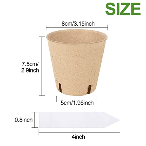 50PCS Peat Pots (3.15")