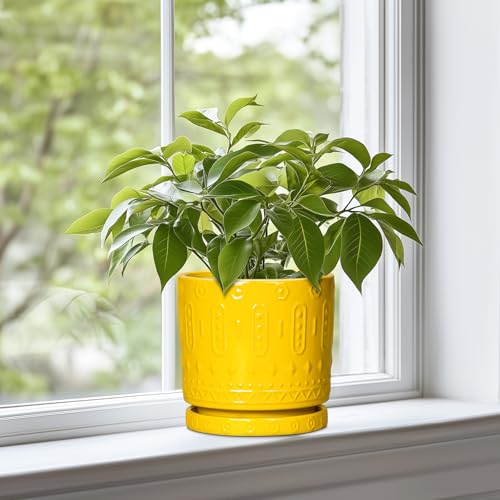 6 Inch Pots for Plants (6 Inch / Yellow)