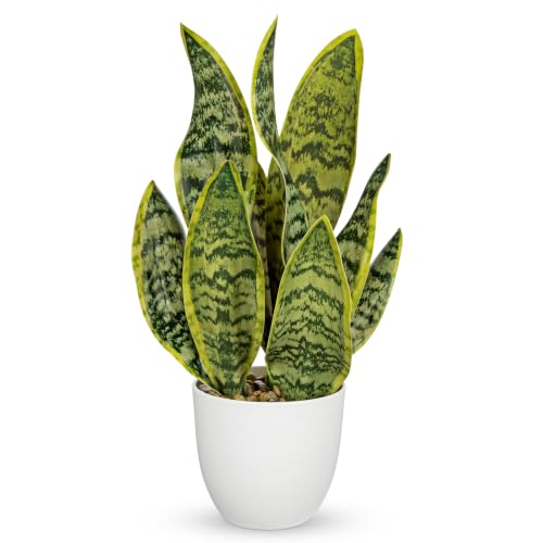 16" Artificial Snake Plant Potted Faux Sansevieria Plants Decor (Green-16" Style 2)