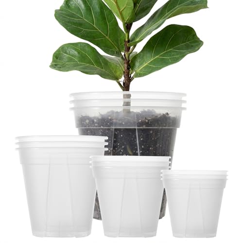 Large Clear Nursery Pot with Drainage Holes 7 (7/8/9.5/12inch without trays)