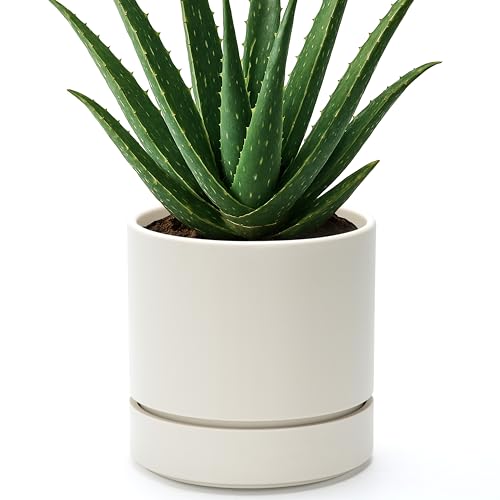 6 Inch Planter Pot with Drainage Hole & Saucer (6" (1 Pack) / Oatmeal)