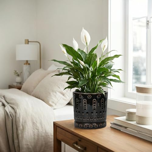 8 Inch Pots for Plants (8 Inch / Black - 2)