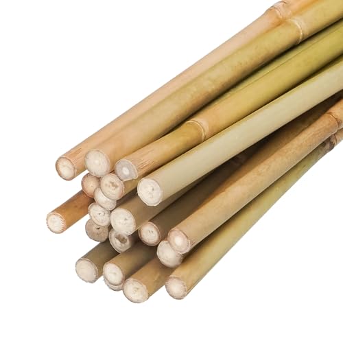 Natural Bamboo Plant Stake（7FT 15Pcs 3 (7ft-15PCS)