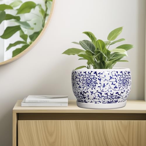 Ceramic Pots for Plants