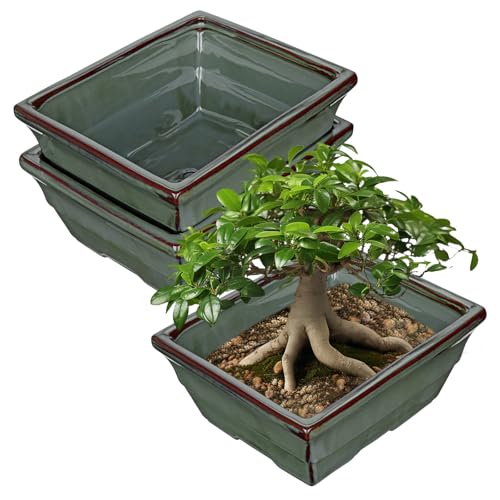 Set of 2 Large Bonsai Pots with with Drainage Hole (Green / 10"x7.8"x4.3")