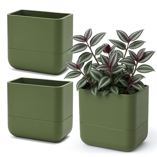 6.5 Inch Wall Mounted Self (6.5" (3 Pack) / Olive)