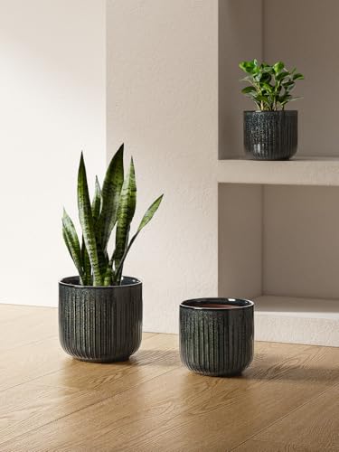 Ceramic Pots for Plants (3 Count)