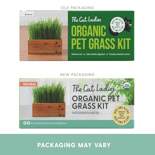 Cat Grass Kit with Rustic Wood Planter (Natural)