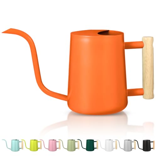 Watering Can Indoor Plants (Orange)