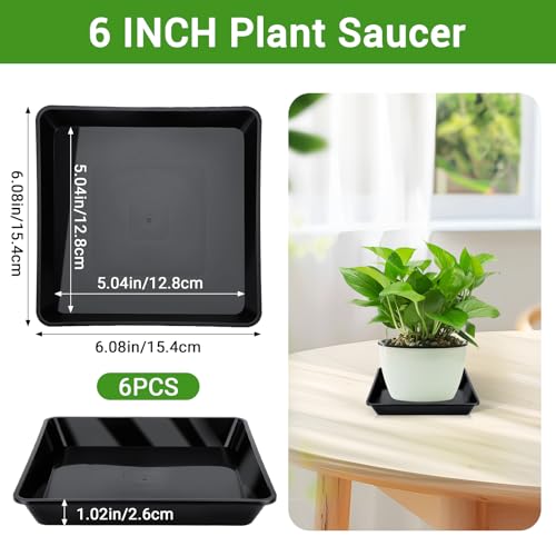 Plant Trays for Pots Square