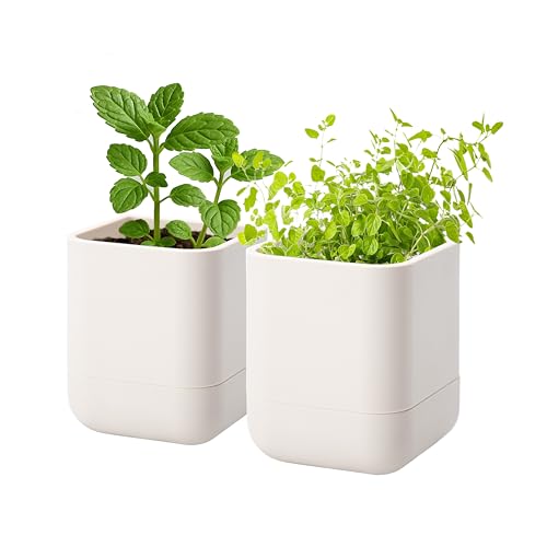 3.5 Inch Wall Mounted Self (3.5" (2 Pack) / Oatmeal)