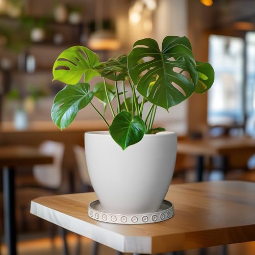 Plant Tray for Pots