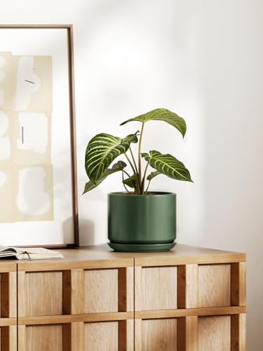 8 Inch Plant Pot (Forest Green / 8")