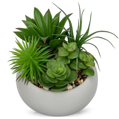 Succulents Plants Artificial in Pots Fake Succulents for Outdoors Indoor Faux Succulent Arrangement Potted Plant in Cement Planter Bowl for Garden Office Desk Shelf Living Room Home Decor (Cement Grey)