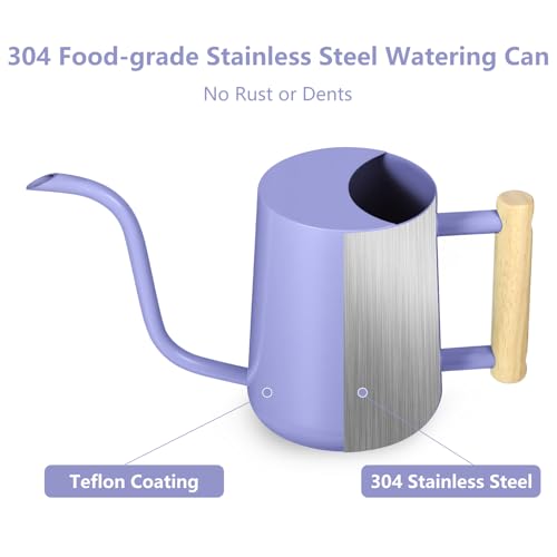 Watering Can Indoor Plants (Purple)