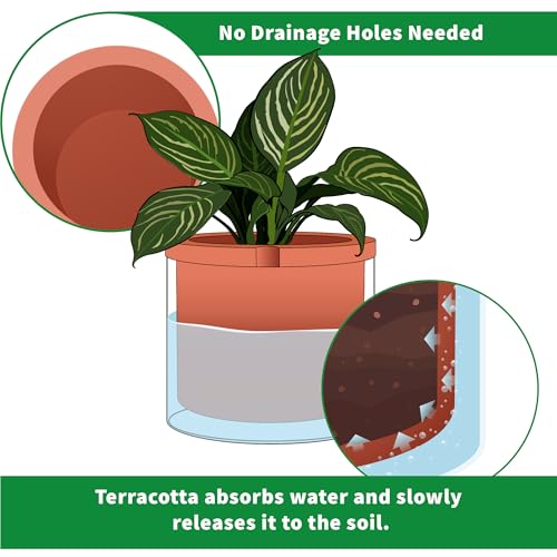 8 Inch Self Watering Planter (8" (1 Pack) / Terracotta)