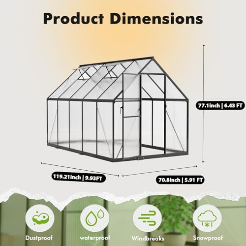 6X10FT Greenhouse with Thermometers (6×10 FT With Thermometers)