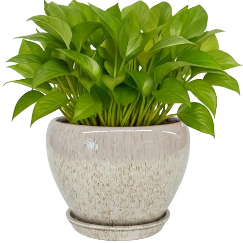 6 Inch Plant Pots (Beige / 6 Inch)