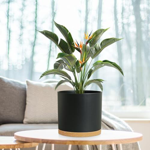 8 Inch Cylinder Plant Pots for Indoor Outdoor Plants