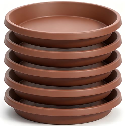 5 Pack Plant Saucer 6 Inch (6" (5 Pack) / Brown)
