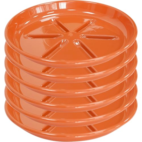 6 Pack of Plant Saucer 8 inch (8in*6 / Red)