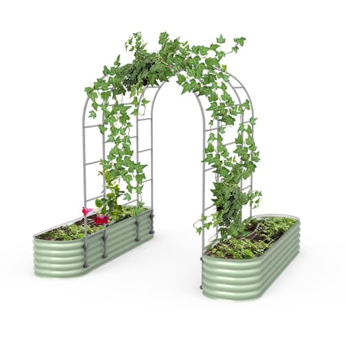 6.0' Long Trellis Modular Arched Trellis System for Garden Bed Climbing Plants Like Cucumber Beans Tomatoes & Vines (6.0 Ft Long)