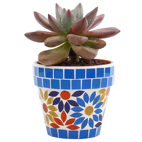 Mosaic Flower Pot (Blue$yellow)