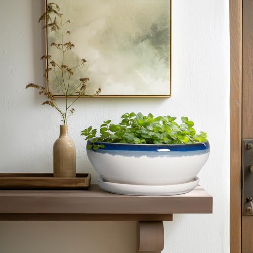 Bonsai Pots 10 Inch Ceramic Pots for Succulents (10 Inch / Blue Off-white)
