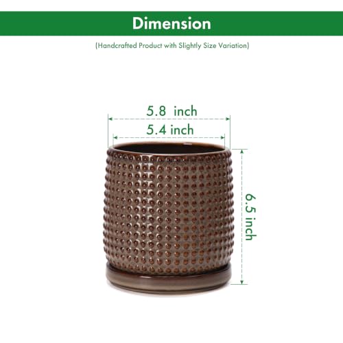 Beaded Ceramic Pot with Saucer (5.8 Inch / Stone Taupe)