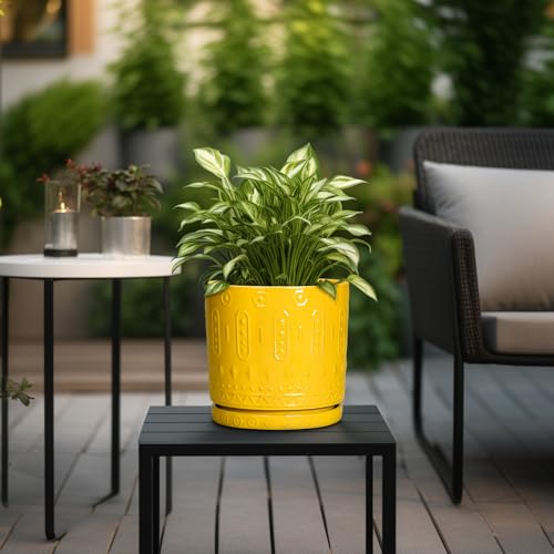 6 Inch Pots for Plants (6 Inch / Yellow)