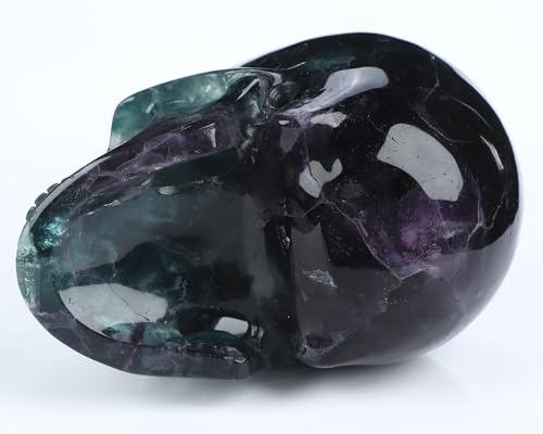 5.0" Fluorite Crystal Skull (5.0 Inches Fluorite 1)