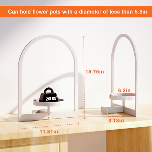 Wall Plant Holder (3 Count)