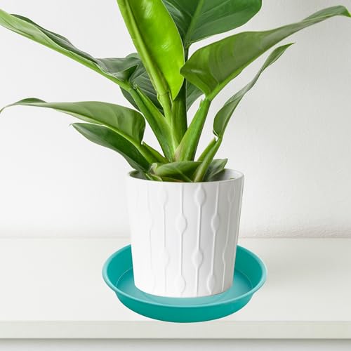 2 Pack of 8 inch Plant Saucer Clear (8" (2 pack) / Teal)