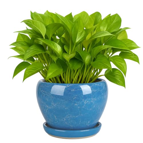 6 Inch Plant Pots (Gemstone Blue / 6 Inch)