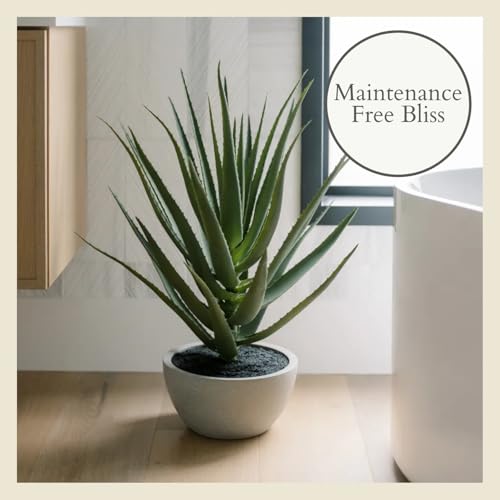 Faux Agave Plant (31.5" Agave)