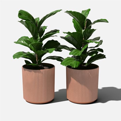 Demi Series Planter (Terracotta / 20 inch - 2 Pack)