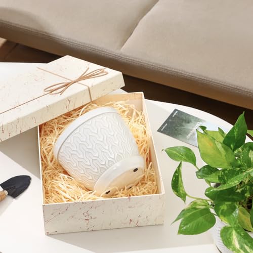 6.5 Inch Ceramic Plant Pots Set of 2 (Glazed White / 6.5 inch)