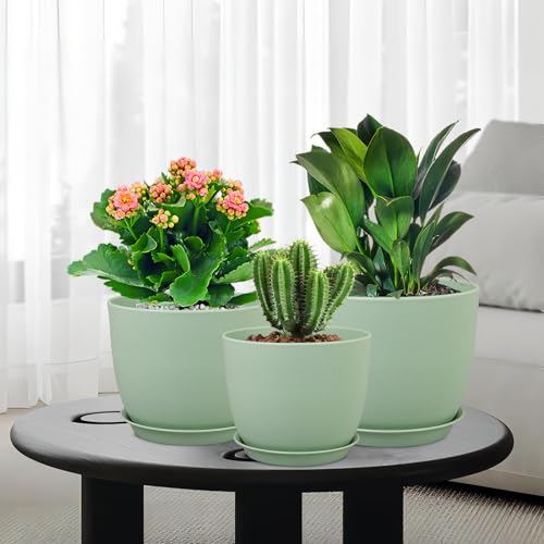 Medium Plant Pots 10 (3 Count)