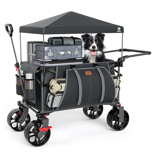 Folding Push Wagon with Canopy (Charcoal / Light Grey)