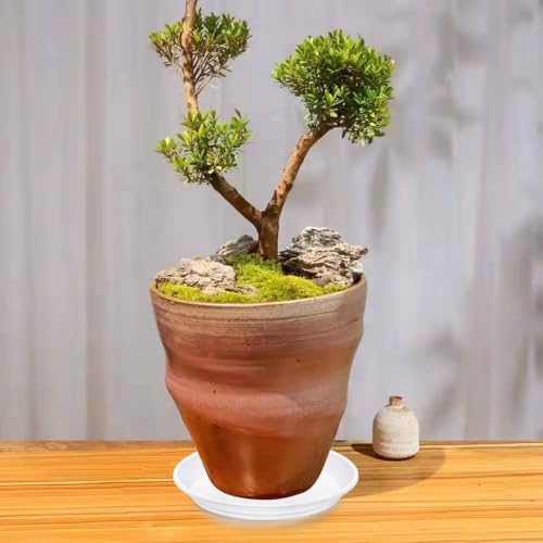 Plant Saucer Pot Tray 16 inch (16" - 4 Pack / White)