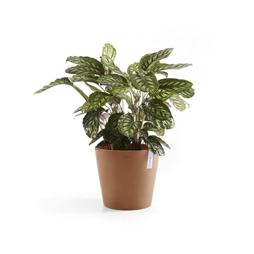 Amsterdam Round Flower Planter (Terracotta / 16 Inches)