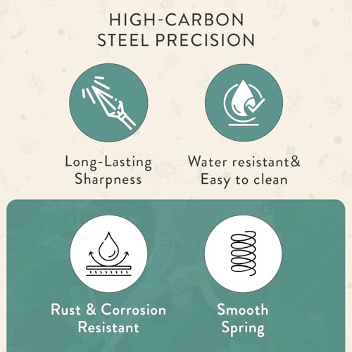 Pruning Shears (Ocean)