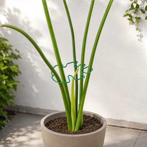 Green Monstera Plant Stem Support (Green / 5.5IN*4.7IN)