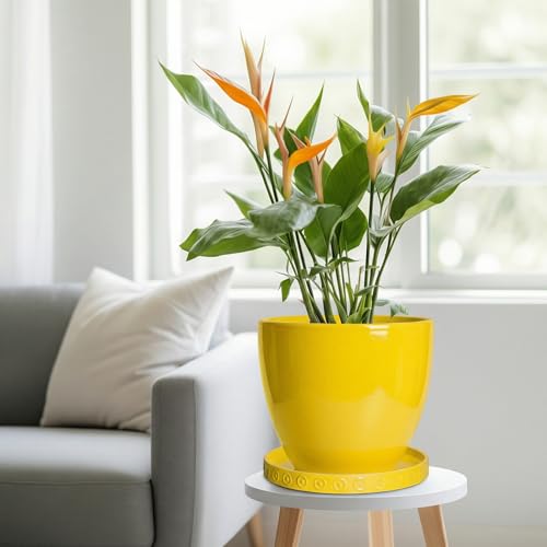 Plant Saucers for Indoors (9.3 Inch / Yellow)