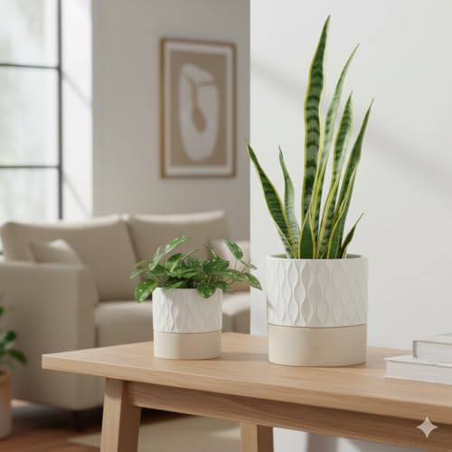 Ceramic Self Watering Plant Pot for Indoor Plants (Cream White & Brown Net / 6" Self Watering)